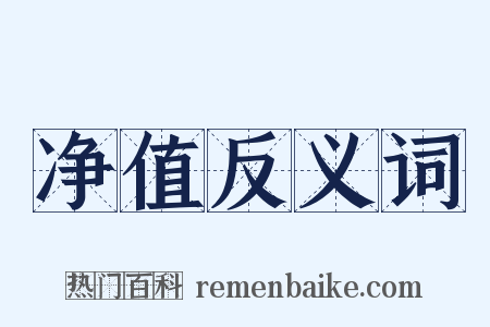 净值反义词是什么意思的图片